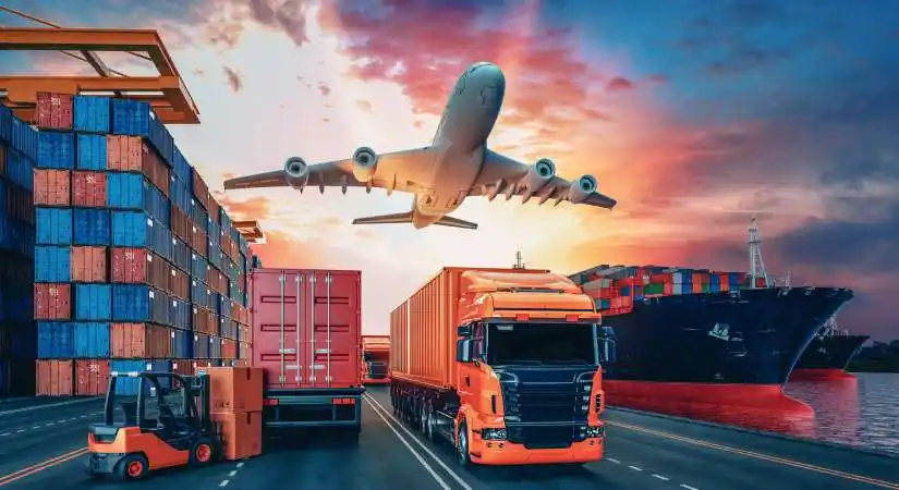 Setein LLC exportaciones